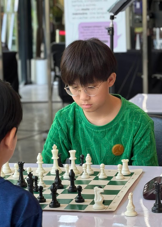 Chess Image 1