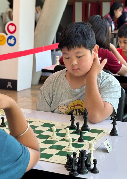 Chess Image 1