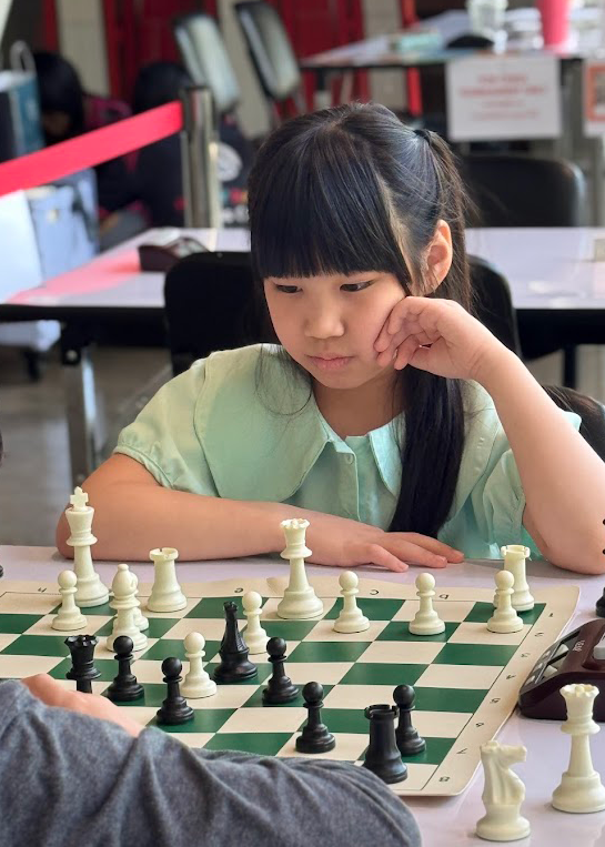 Chess Image 1